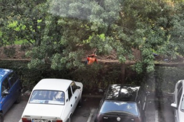 Muncitorul care sapă şanţuri face FLOTĂRI în pauză, să nu-şi iasă din mână!